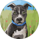 review profile image
